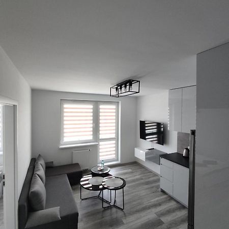N° 59 Apartment Plock Exterior photo